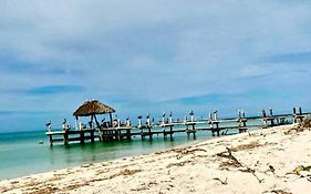 Beachfront Apartment With Swimming Pool. One Bedroom