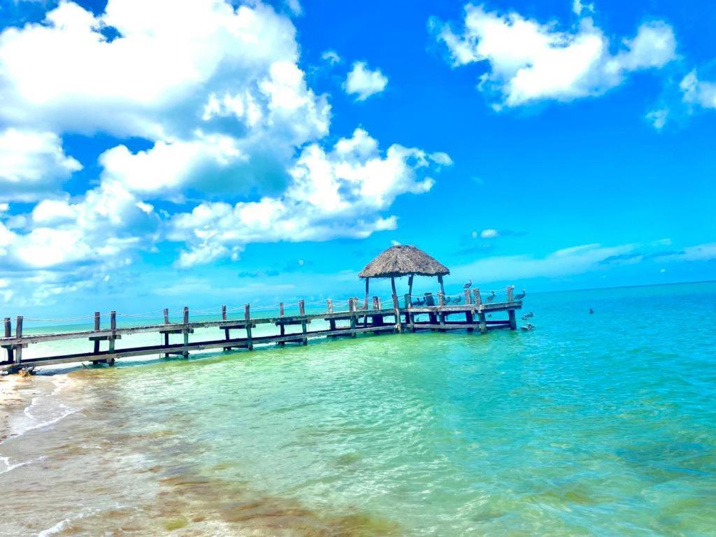 Beachfront Apartment With Swimming Pool. One Bedroom Celestun Exterior photo
