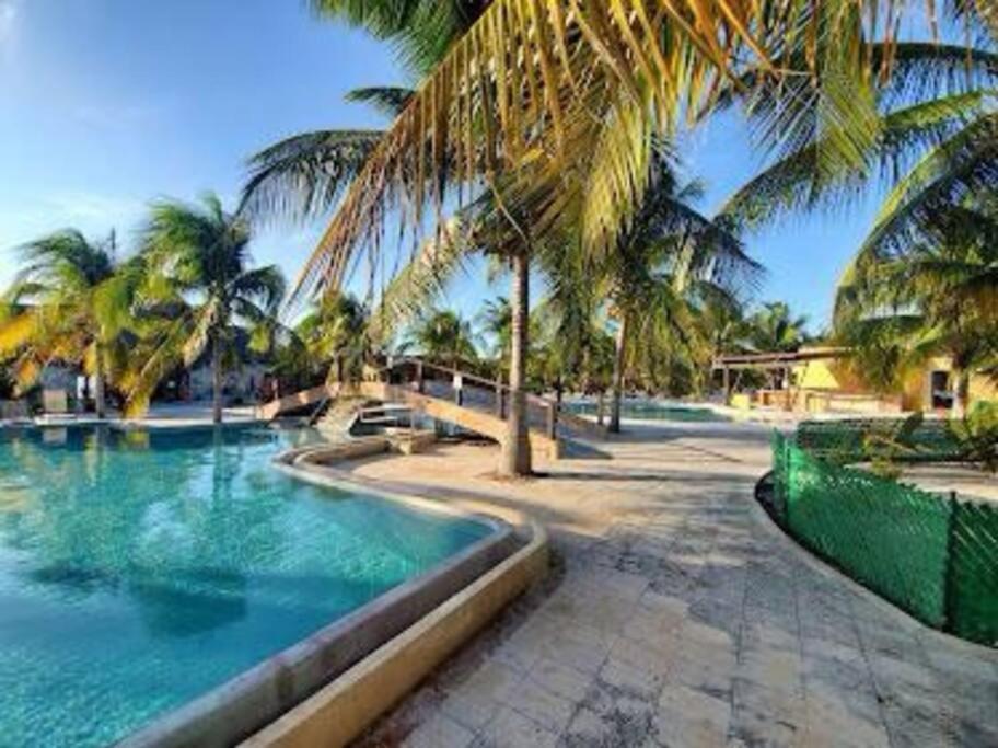 Beachfront Apartment With Swimming Pool. One Bedroom Celestun Exterior photo