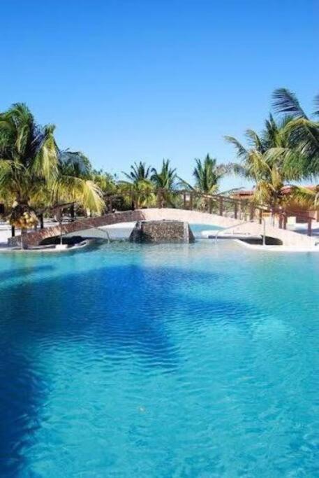 Beachfront Apartment With Swimming Pool. One Bedroom Celestun Exterior photo