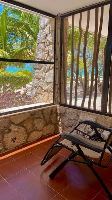 Beachfront Apartment With Swimming Pool. One Bedroom Celestun Exterior photo