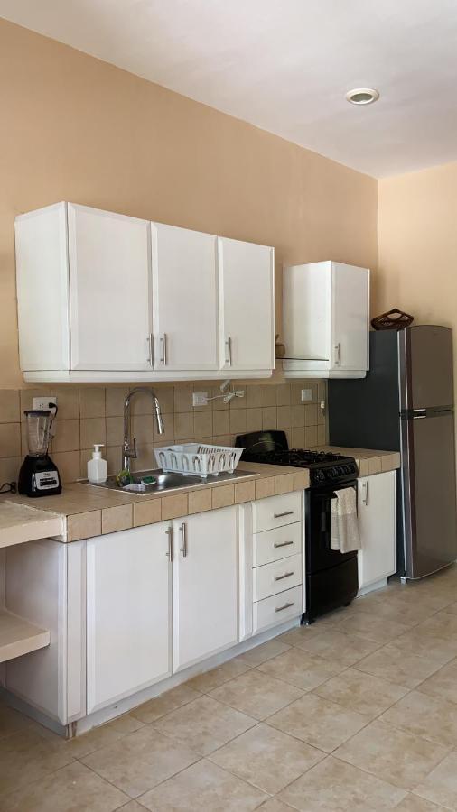 Beachfront Apartment With Swimming Pool. One Bedroom Celestun Exterior photo