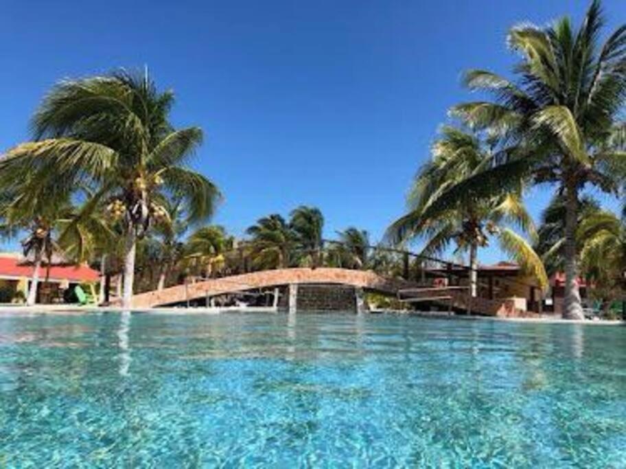 Beachfront Apartment With Swimming Pool. One Bedroom Celestun Exterior photo