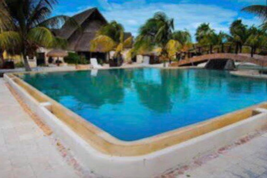 Beachfront Apartment With Swimming Pool. One Bedroom Celestun Exterior photo