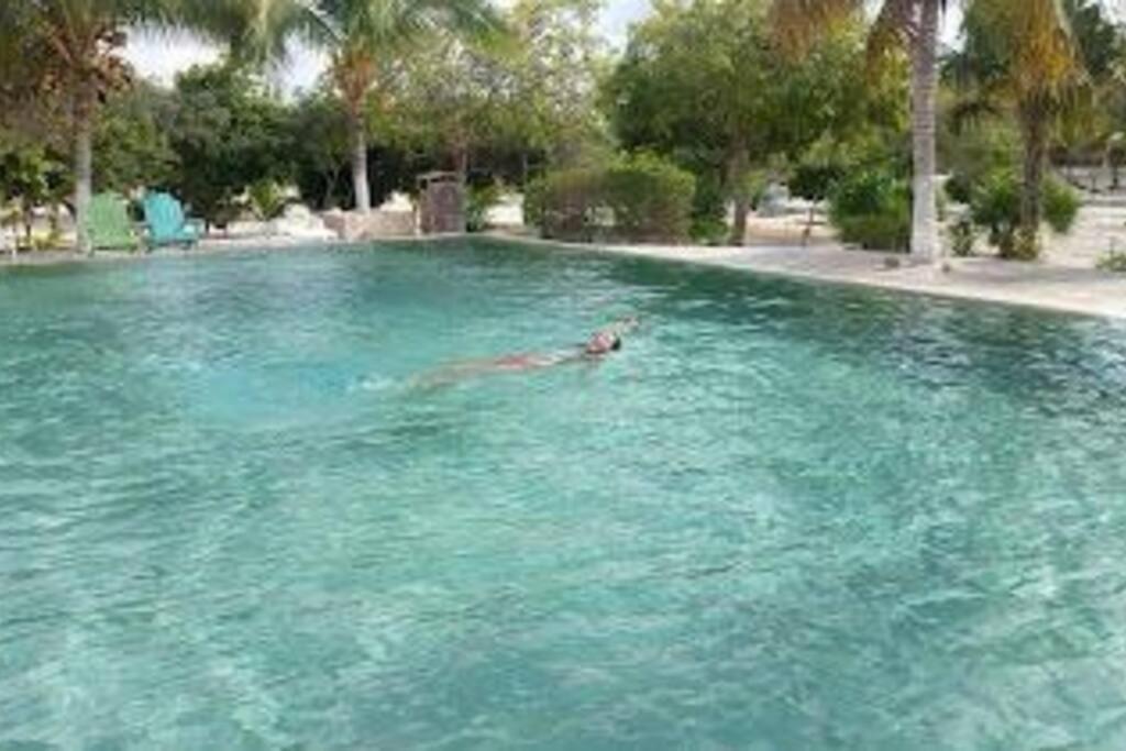 Beachfront Apartment With Swimming Pool. One Bedroom Celestun Exterior photo