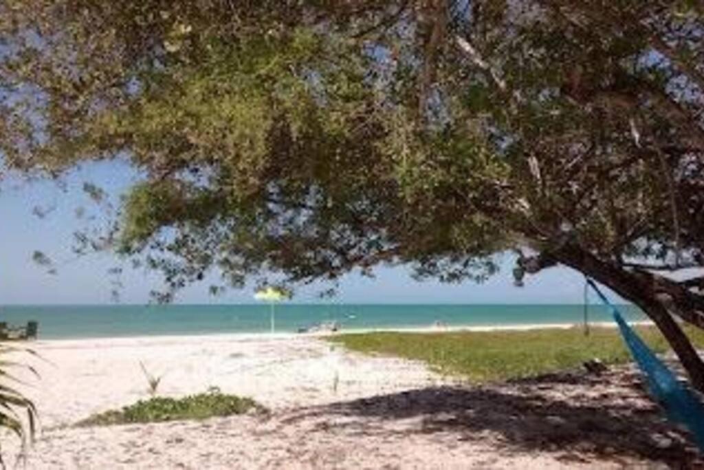 Beachfront Apartment With Swimming Pool. One Bedroom Celestun Exterior photo