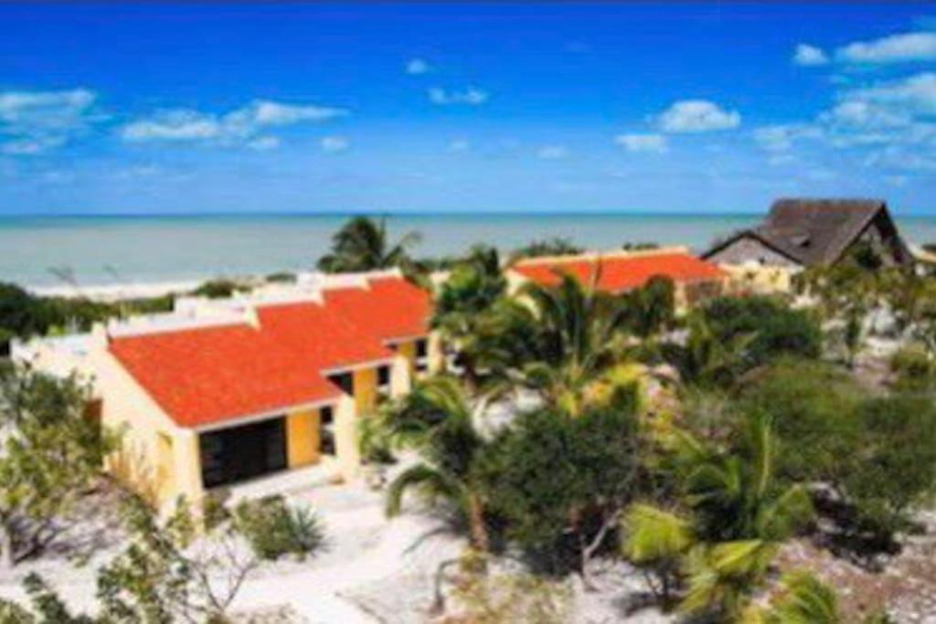 Beachfront Apartment With Swimming Pool. One Bedroom Celestun Exterior photo